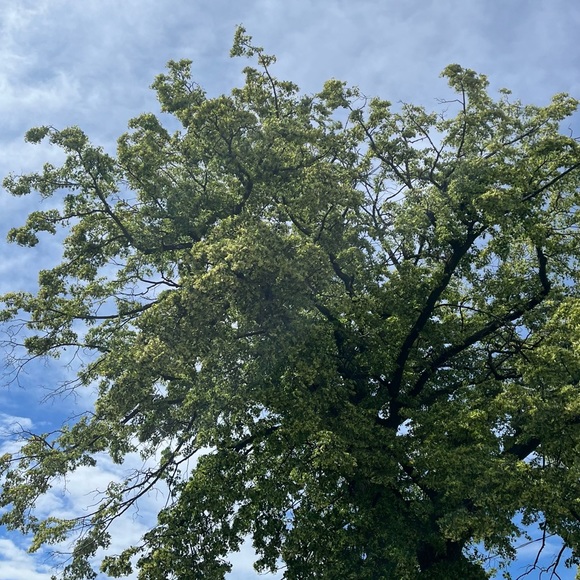 Meet your Posher, Manisha - Picture 1 of 1